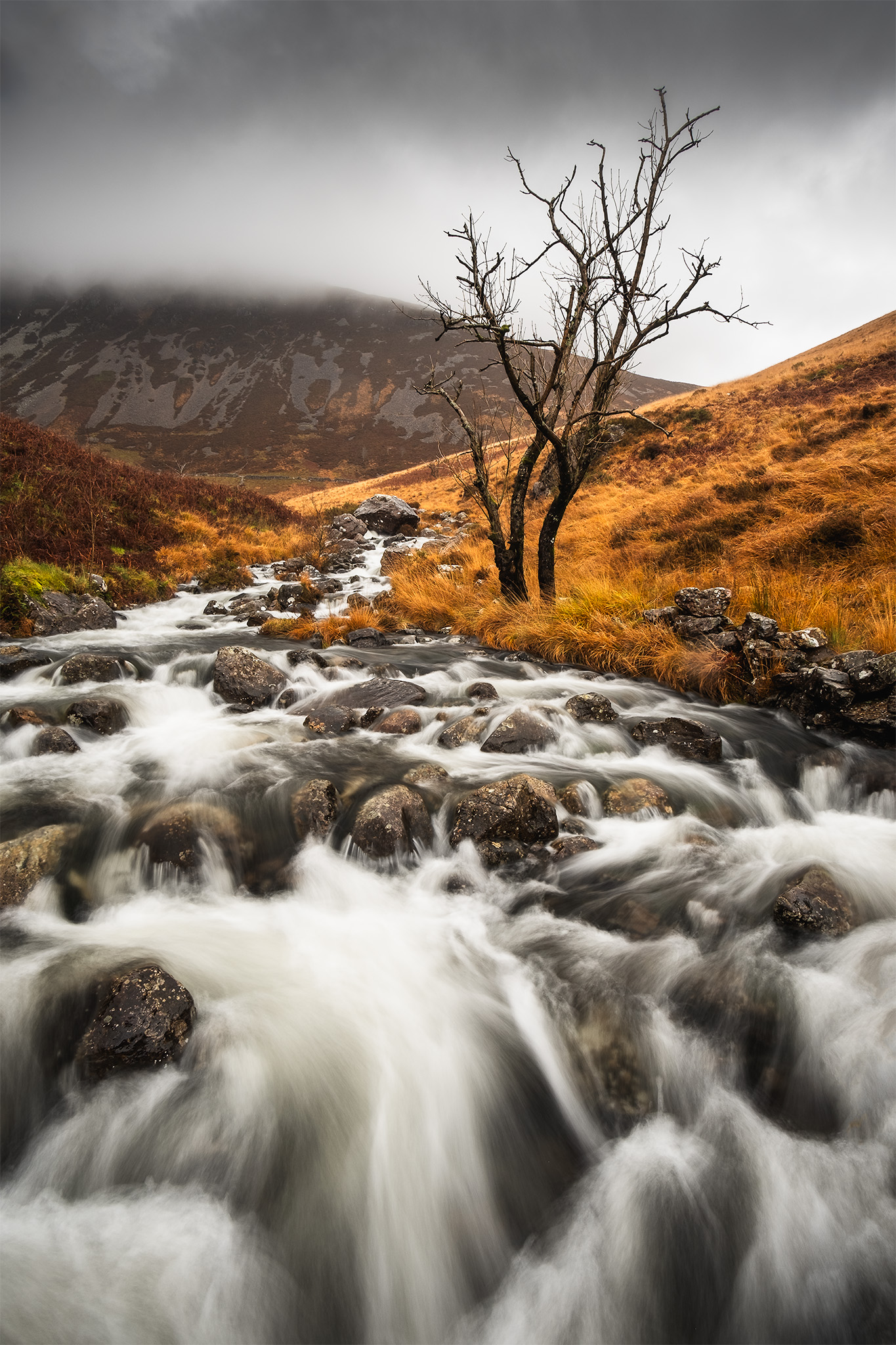 Autumn colours with a flowing stream in Eryri, Wales